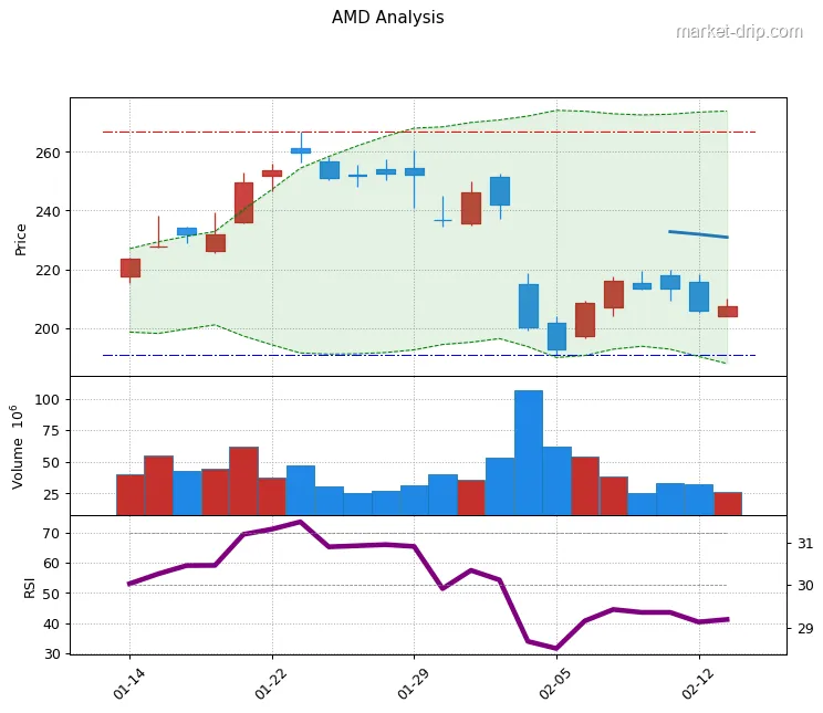 AMD stock chart as of 2026-02-13: close $207.32 (+0.67%), RSI(14) 41.2, 1-month range $190.7–$267.0.